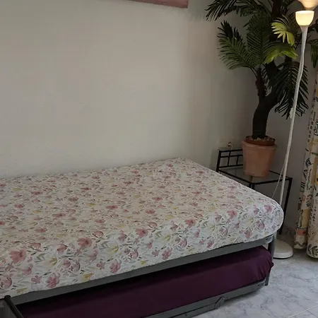 Apartment Sonnenterrasse Mit Meerblick 3 Zi Penthouse Dachterrasse Balkon Pool *